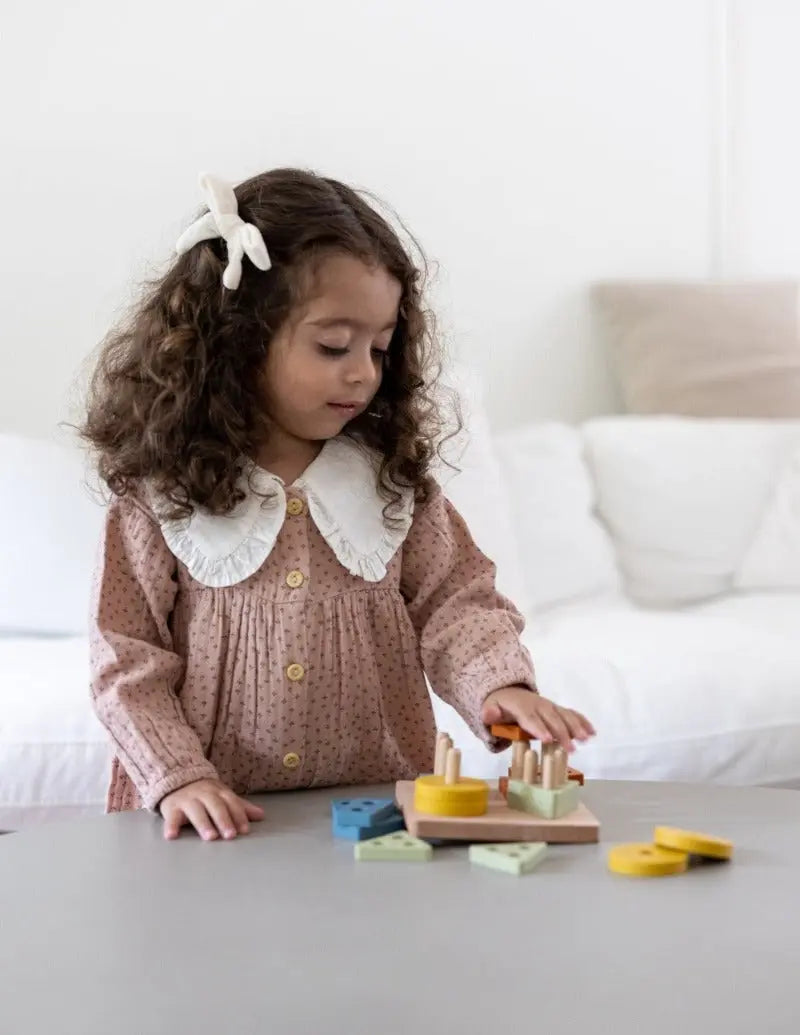 Shape Puzzle Toy + Geometric + Wood & Silicone + Montessori | LYTL®️